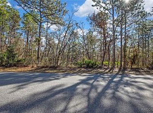 174 Daisy St, Homosassa, FL 34446