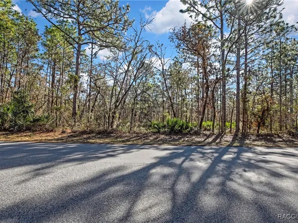 174 Daisy St, Homosassa, FL 34446