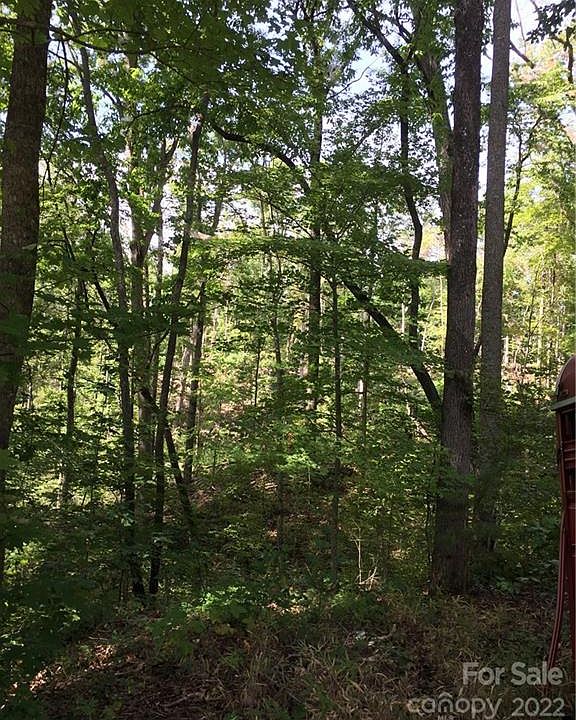 Mountain Creek Rd, Rutherfordton, NC 28139 MLS CAR3542644 Zillow