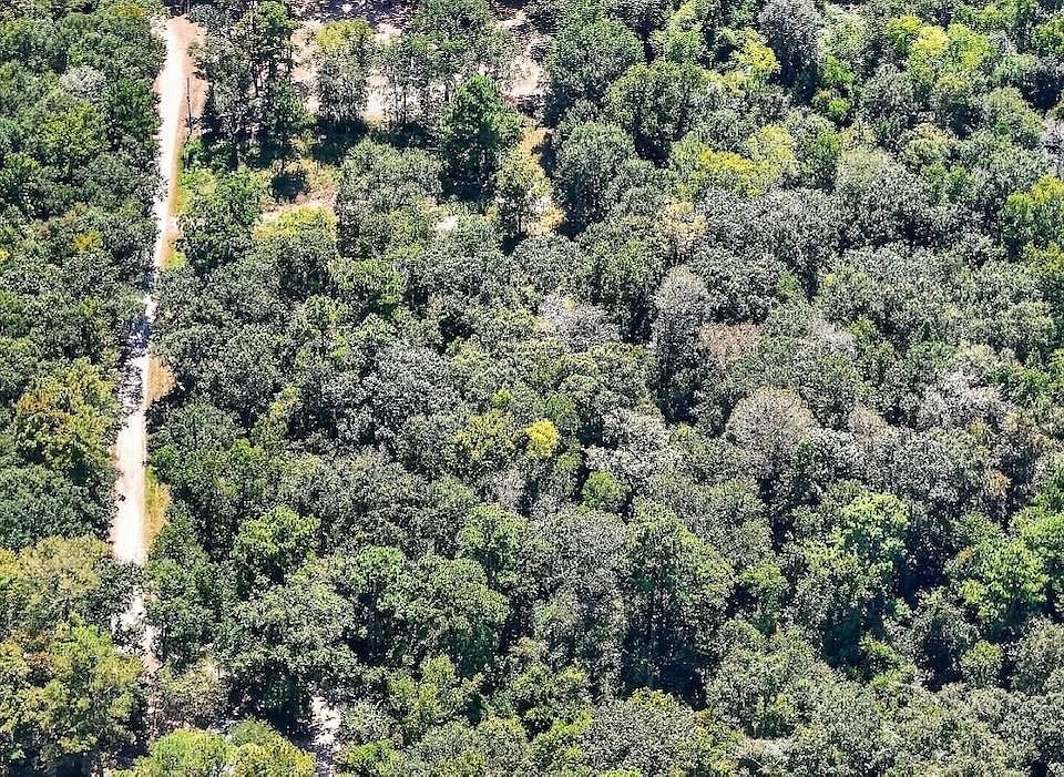2nd image of LOT 151