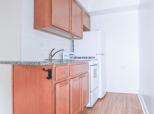534 W Wellington Ave APT 407, Chicago, IL 60657