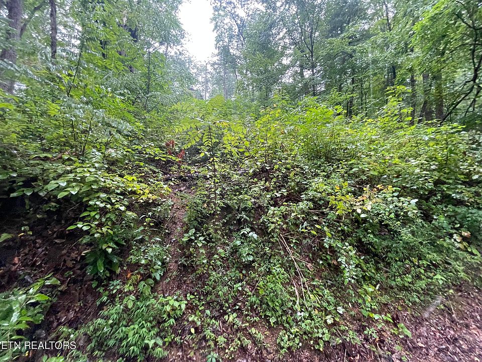 Little Cove Rd 47, Sevierville, TN 37862 MLS 1237992 Zillow
