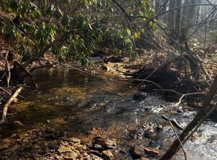 Tbd Free Union Rd, Meadows Of Dan, VA 24120