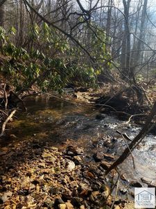 Tbd Free Union Rd, Meadows Of Dan, VA, 24120