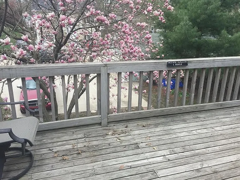 Walnut 2109 — Photo 2