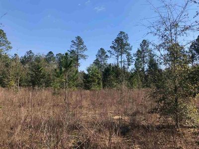 Vacant Ne Jasmine Ter, Lee, FL, 32059