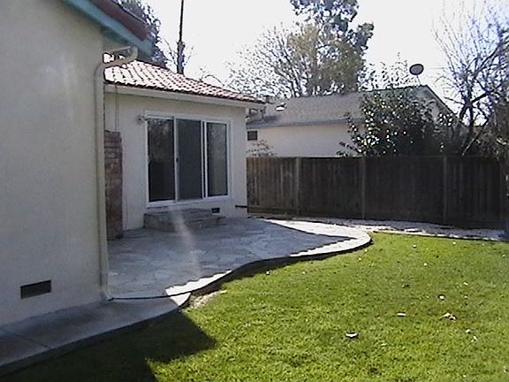 Patio and backyard