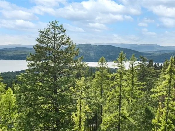 238 S Beargrass Cir, Whitefish, MT 59937