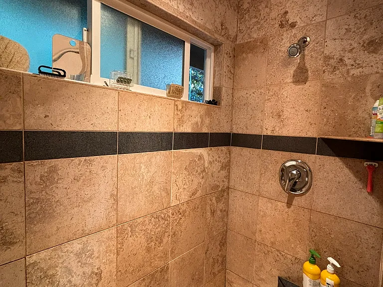 primary bathroom shower, 2 showerheads, one on either side