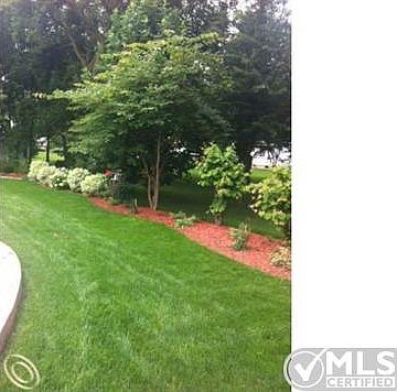 Back Landscaping.JPG