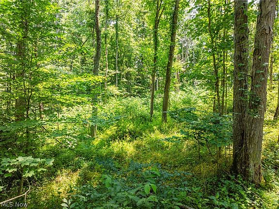 5th image of 9 Township Road 51 NE
