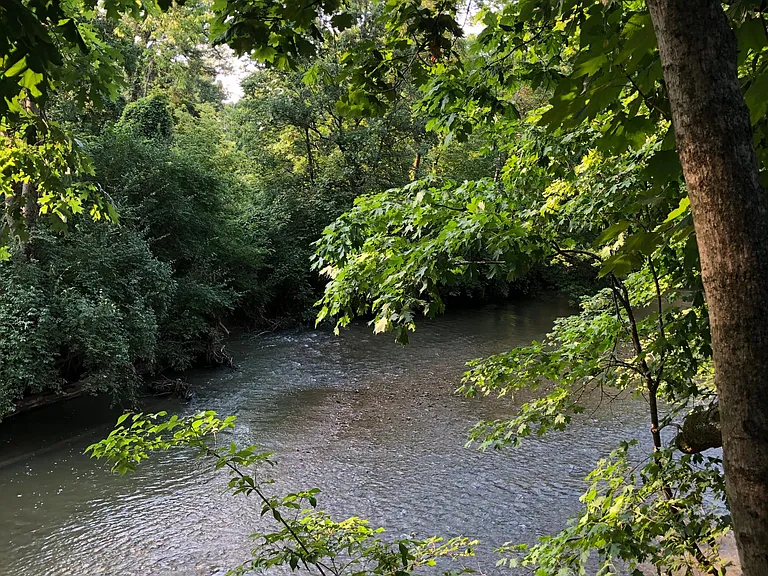 Rocky Fork Dr — Photo 2