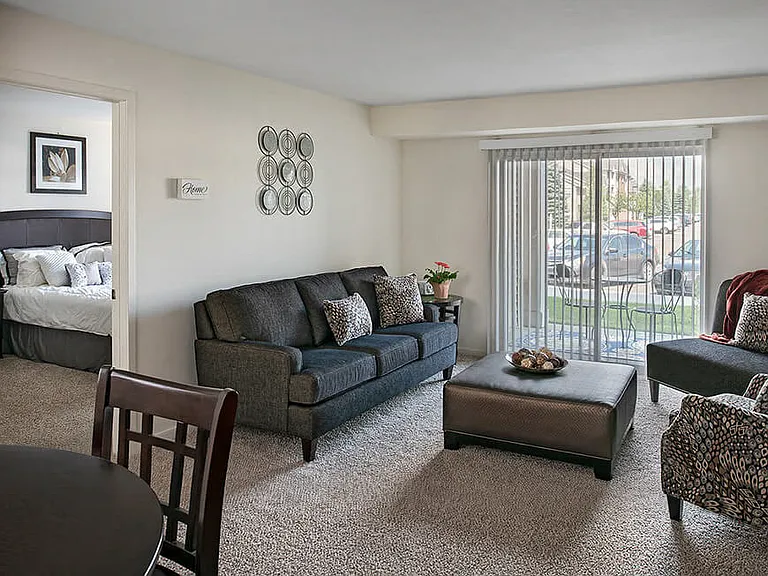 Living Room With Natural Light