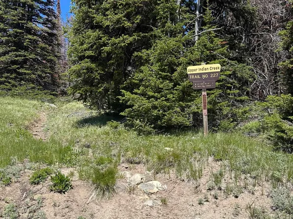 0 Indian Creek Trl, Council, ID 83612
