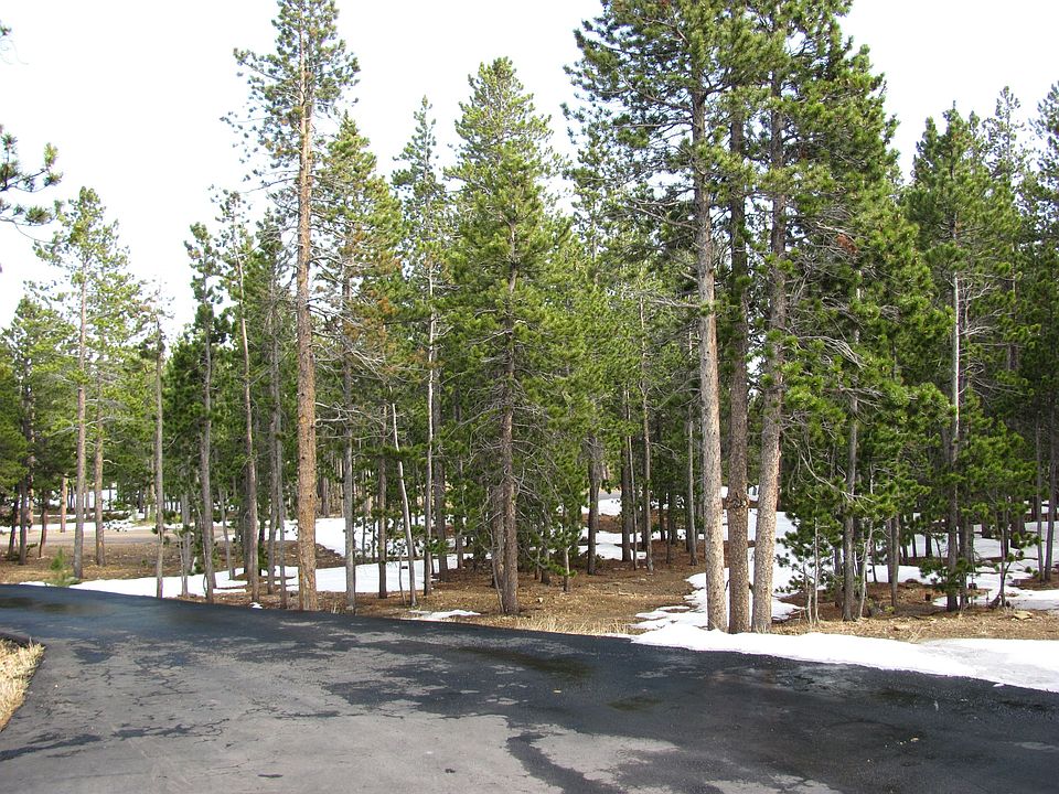 2nd image of 65 Arikaree Cir