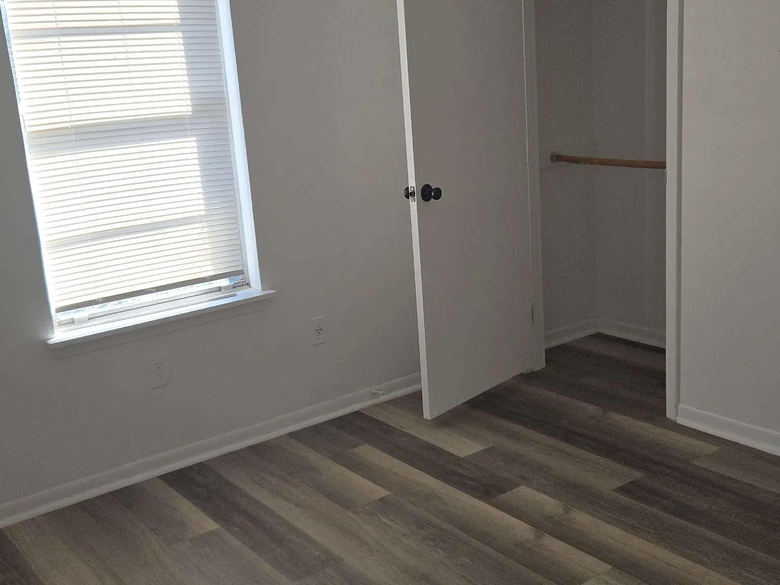 2 bed, 800 sqft, $1,150 — Photo 3