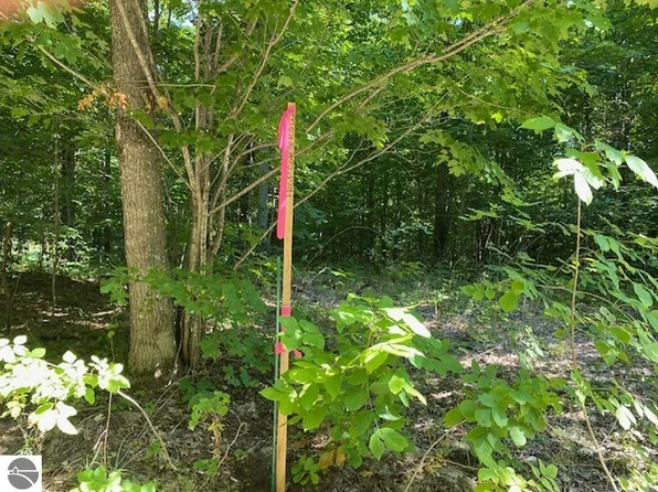 Walkers Run, Traverse City, MI 49684