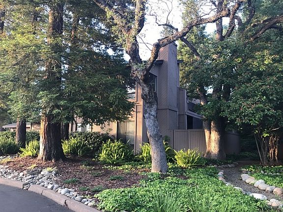 2nd image of 4128 Naturewood Ct