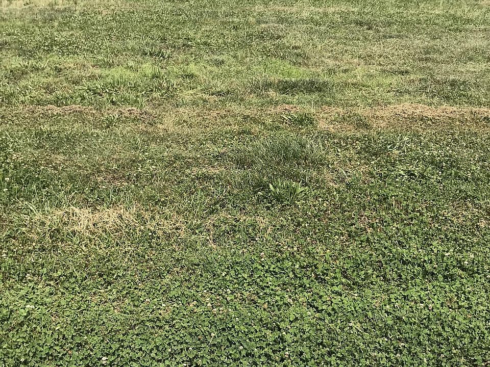 1st image of 3612 Edgewater Way Lot 91
