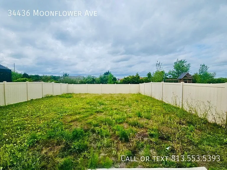 34436 Moonflower Ave — Photo 37
