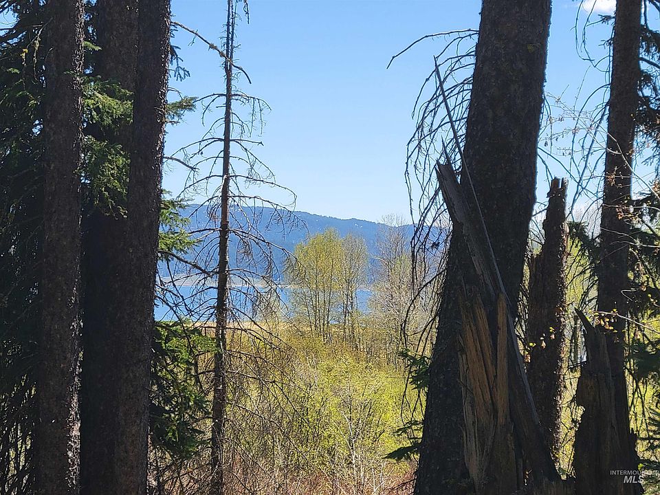 1st image of 1602 Bear Trail Loop