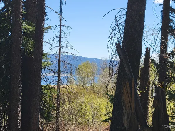 1602 Bear Trail Loop, Cascade, ID 83611