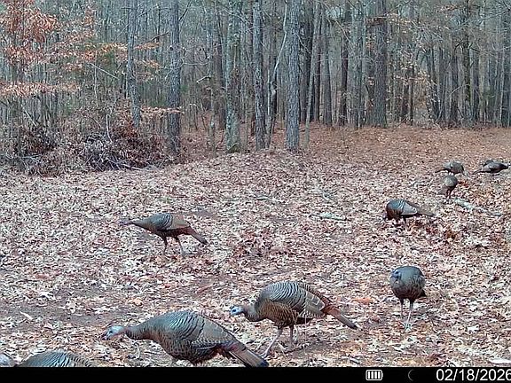 3rd image of 5440 Old Milton Rd