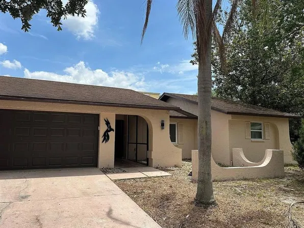 3413 Dove Hollow Ct, Palm Harbor, FL 34683