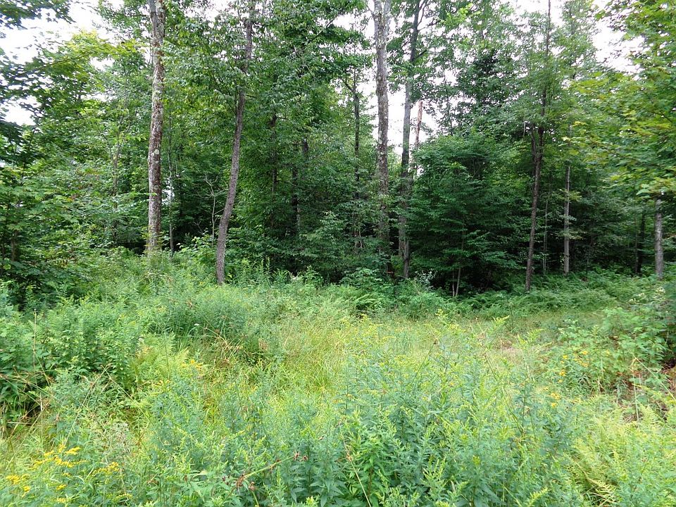 2nd image of W Of Nys Rte #812