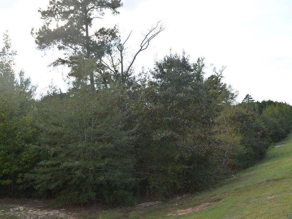 2nd image of Hwty #49