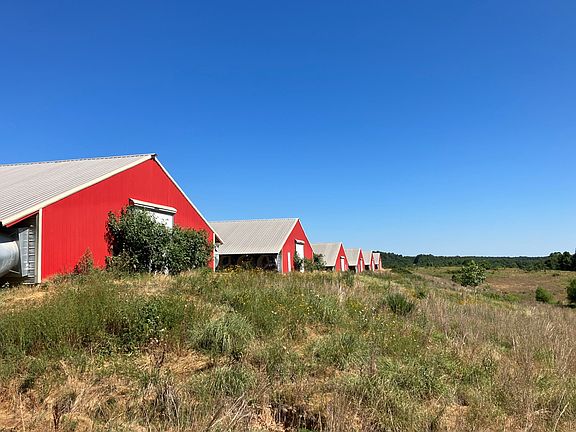 3rd image of New Muddy Ln