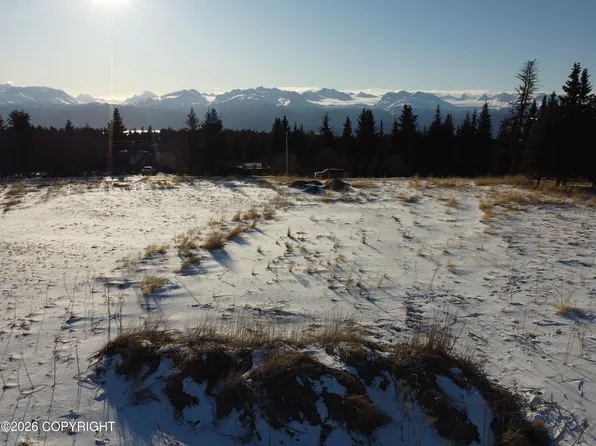 32521 Linda Ln, Homer, AK 99603