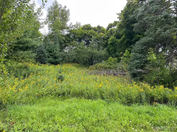 E Maple Dr, Michigamme, MI 49861