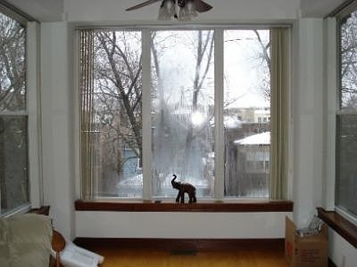 5th image of 1730 W North Shore Ave #3
