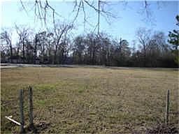 2nd image of 407 Pine Lake Dr