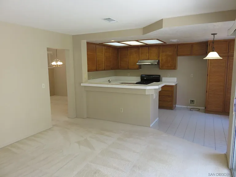 10884 Corte Playa Solana — Photo 16