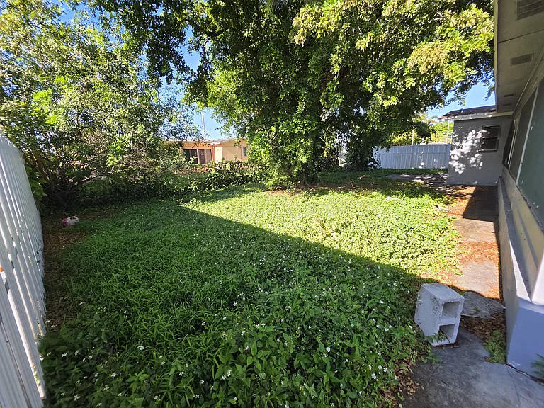 Back yard