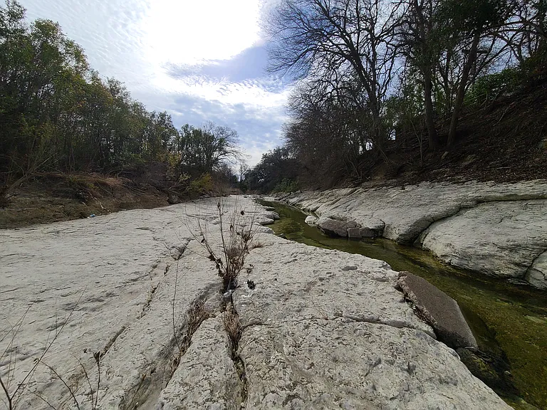Little Walnut Creek in Backyard