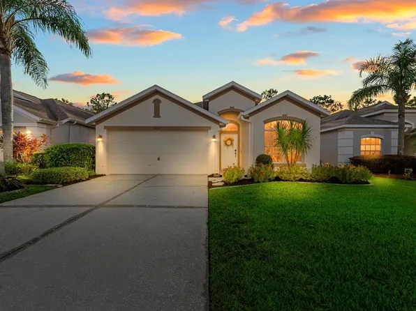 3203 Banyan Hill Ln, Land O Lakes, FL 34639