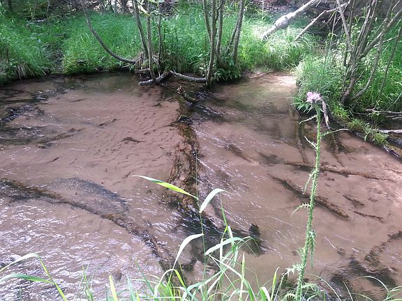 2nd image of 2.35 Acres Silver Creek Rod