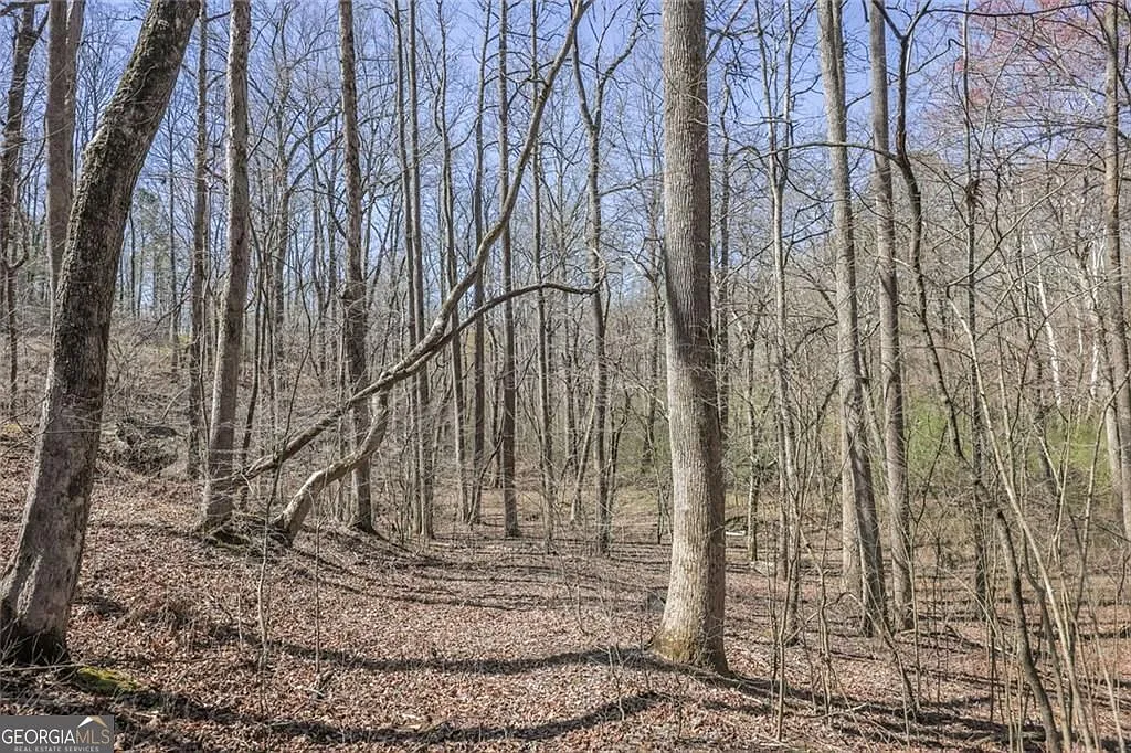 62 Cherokee Wood Hollow Dr photo 1