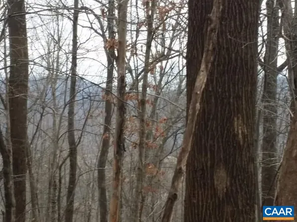 Black Walnut Dr, Nellysford, VA 22958