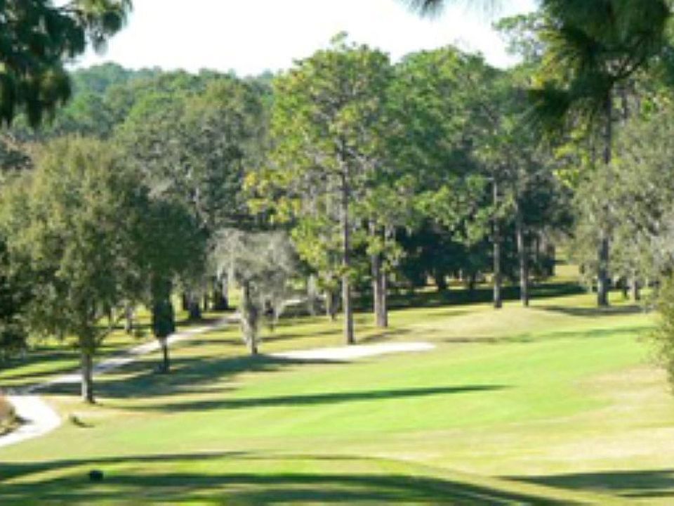 citrus-springs-golf[1] (Custom)
