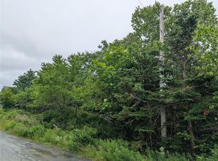 11 Parsons Pl, Conception Bay South, NL A1X7B9