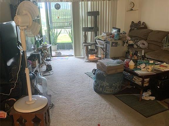 4th image of 1064 LOTUS PARKWAY #915