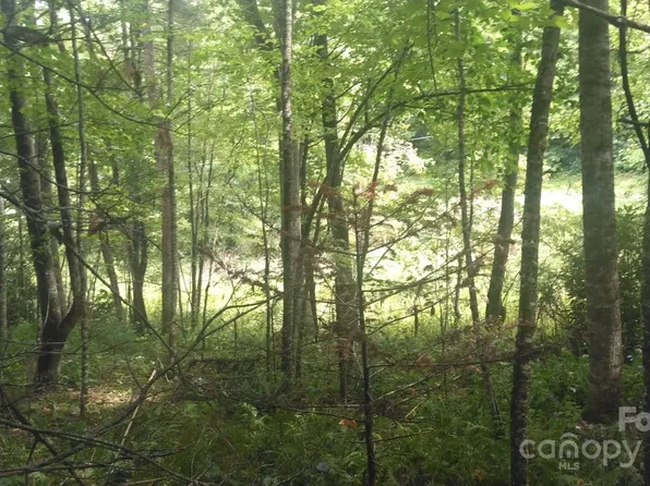 7360 State Highway 183, Newland, NC 28657