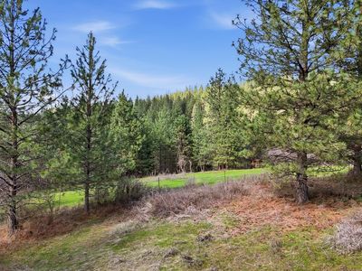 151XX E Cooper Rd, Mead, WA, 99021