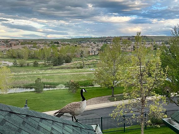 2nd image of 1816 Mallard Dr