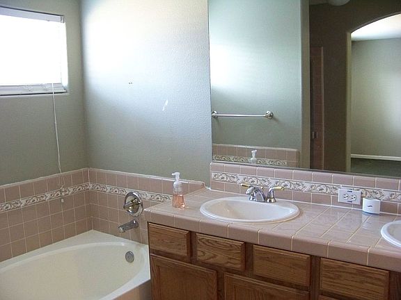 Master tub avnd sink