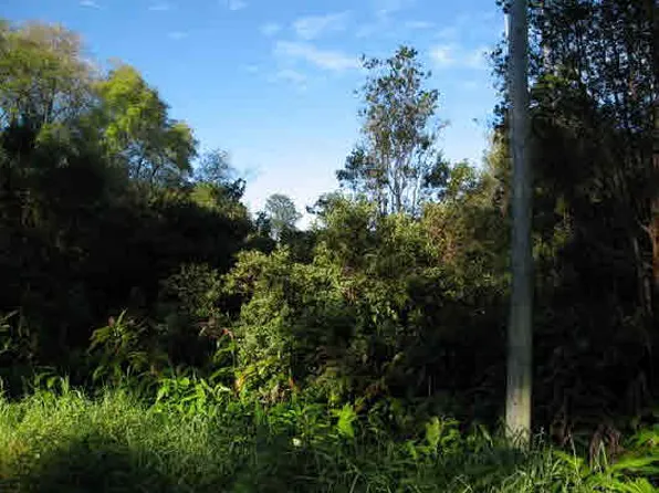 Volcano Rd Lot 351, Volcano, HI 96785